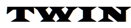 Twin Clothing 